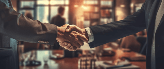 Professional Service